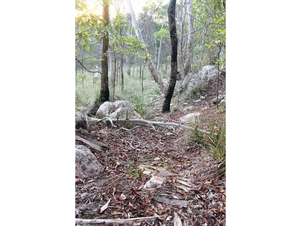 421 Back Creek Rd, CROWS NEST, QLD, 4355, Crows Nest - Thumbnail 5