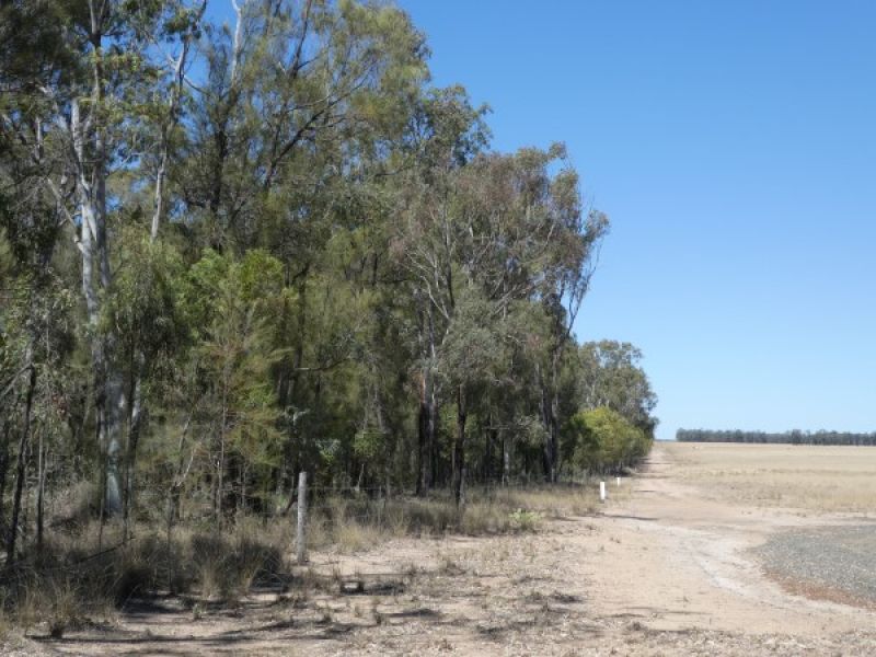565 Lockwood Road, KURROWAH, QLD, 4352, Kurrowah - Thumbnail 7
