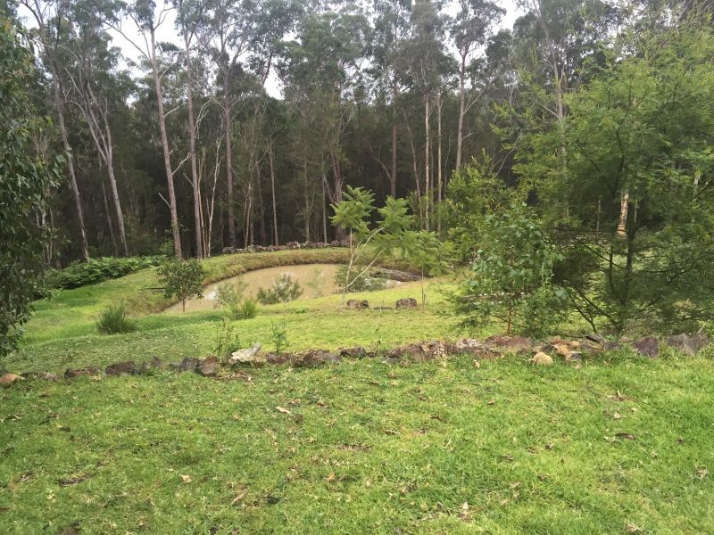 Lot 2 Long Gully Rd, DRAKE, NSW, 2469, Drake - Thumbnail 7
