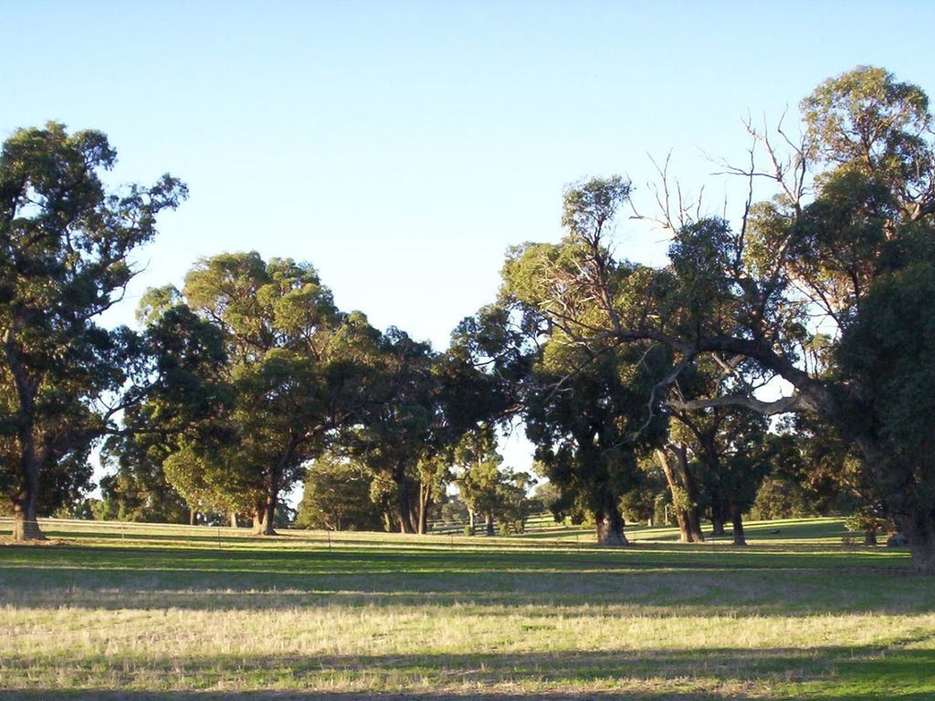 216 Rangeview, GINGIN, WA, 6503, Gingin - Thumbnail 3
