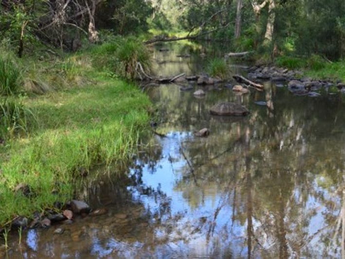 479 Bakers Road, KILLARNEY, QLD, 4373, Killarney - Thumbnail 3