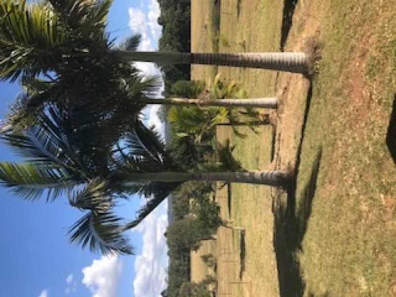 2 Wegner Rd, NORTH ARM, QLD, 4561, North Arm - Thumbnail 3