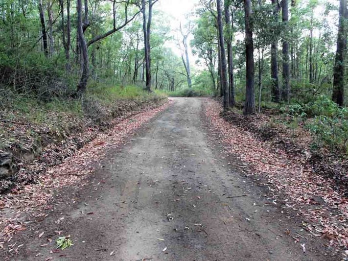 421 Back Creek Rd, CROWS NEST, QLD, 4355, Crows Nest - Thumbnail 2