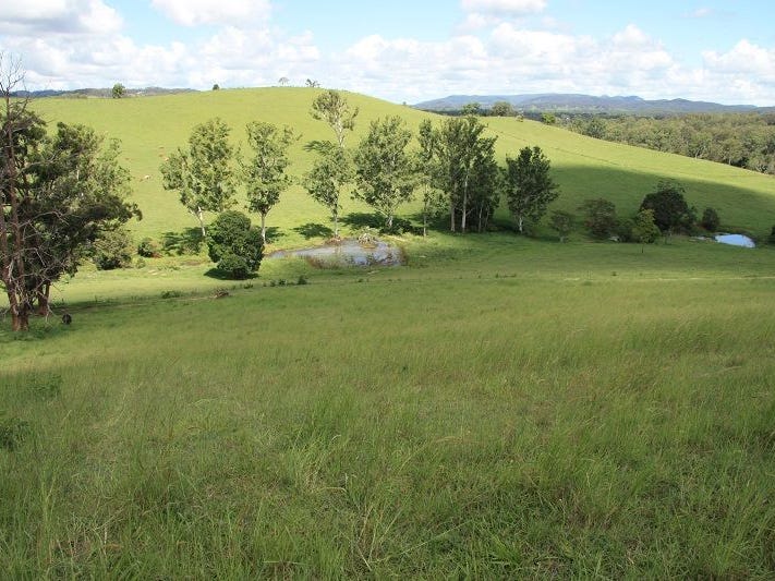 531 Wilsons Pocket Road, WILSONS POCKET, QLD, 4570, Wilsons Pocket - Thumbnail 8