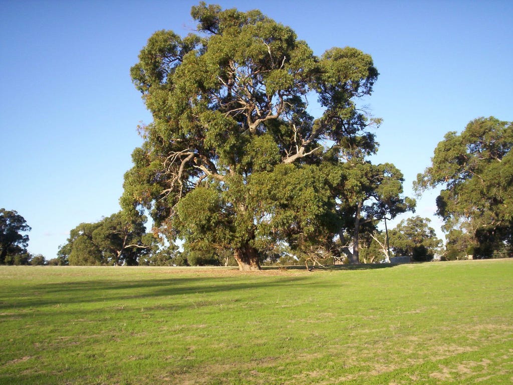 216 Rangeview, GINGIN, WA, 6503, Gingin - Thumbnail 2