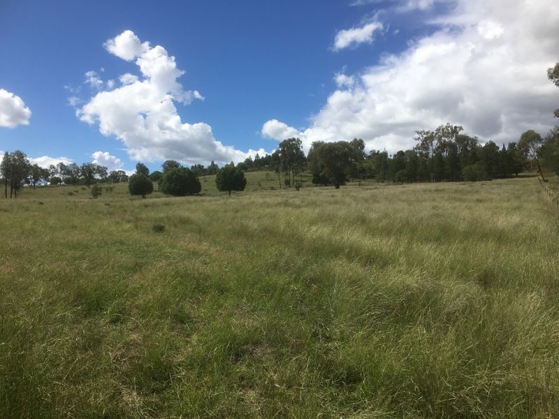 4964 Warialda, COOLATAI, NSW, 2402, Coolatai - Thumbnail 4