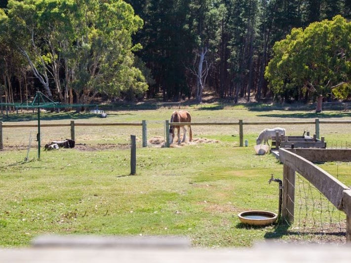 138 KENNEDY ROAD, KOORINE, SA, 5279, Koorine - Thumbnail 8