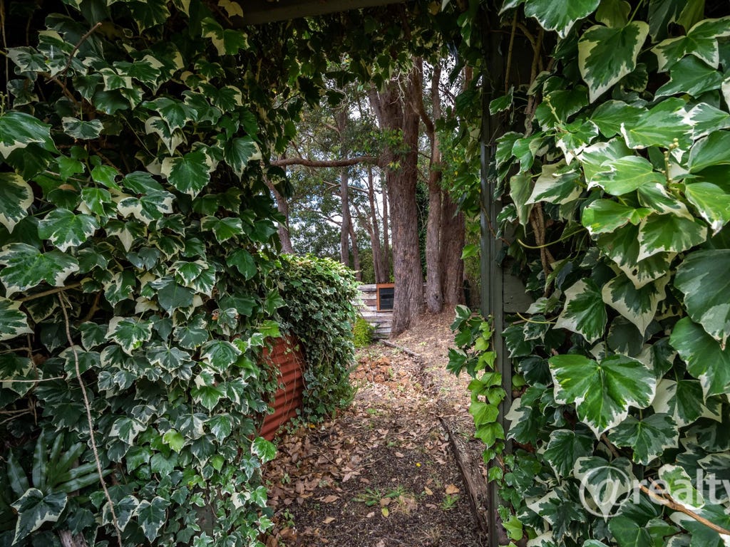 186 Mount Shadforth Road, DENMARK, WA, 6333, Denmark - Thumbnail 4