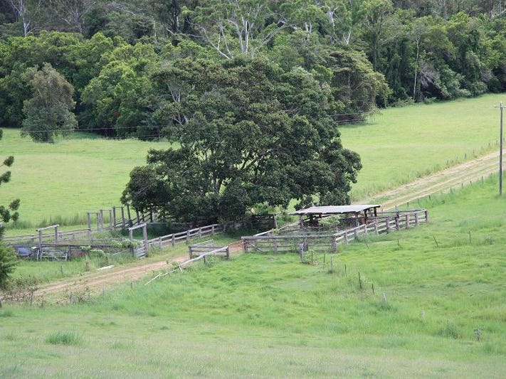 531 Wilsons Pocket Road, WILSONS POCKET, QLD, 4570, Wilsons Pocket - Thumbnail 3