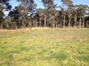 238 Medinah Avenue, Luddenham, NSW 2745