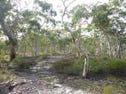 180 Nerrimunga Creek Rd, Windellama, NSW 2580