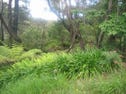 155 Burrawang Street, Katoomba, NSW 2780