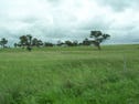 94 Lawlers Lane, Merriwa, NSW 2329