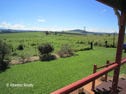Upper Barron, address available on request