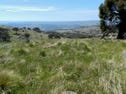Lot 14 Greenmantle  Road, Bigga, NSW 2583