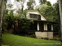 Lake Eacham, address available on request