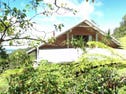 Millaa Millaa, address available on request