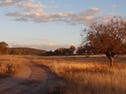 4393 OBLEY ROAD, Dubbo, NSW 2830