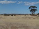 102 Glen Turret Road, Moculta, SA 5353