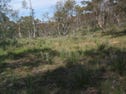 205 Dry Plains Road, Cooma, NSW 2630