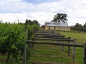 Lot 62,2 Oakey Creek Road, Pokolbin, NSW 2320