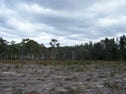 1510 Oallen Ford Road, Windellama, NSW 2580