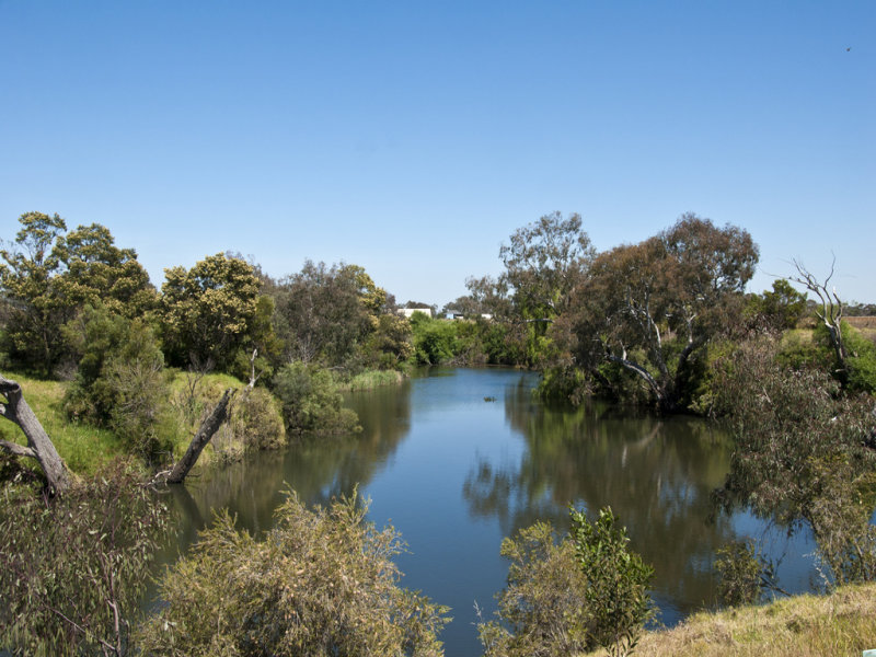 78 Riversdale Drive, Tarneit, VIC, 3029, Tarneit - Thumbnail 2