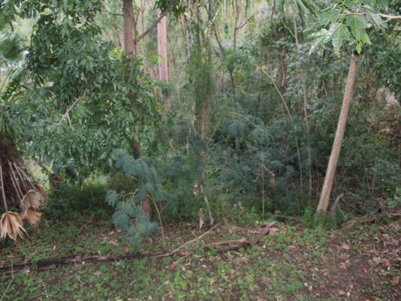 $2,147,483,647 (sold on 23-Aug-2013) House 3 beds | 1 bath | 1 car 338 Birdwood Tce TOOWONG QLD 4066, 647 (Sold On 23-Aug-2013) House 3 Beds | 1 Bath | 1 Car 338 Birdwood Tce Toowong - Thumbnail 7