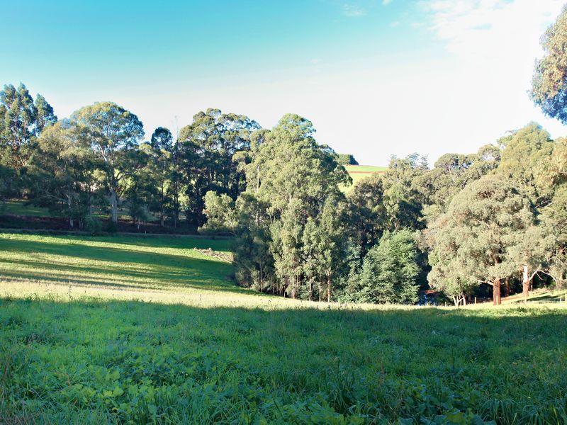 167 Red Road Gembrook Vic 3783 Property Details