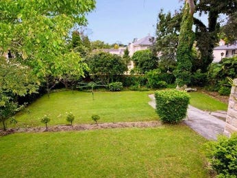 Low maintenance garden ideas