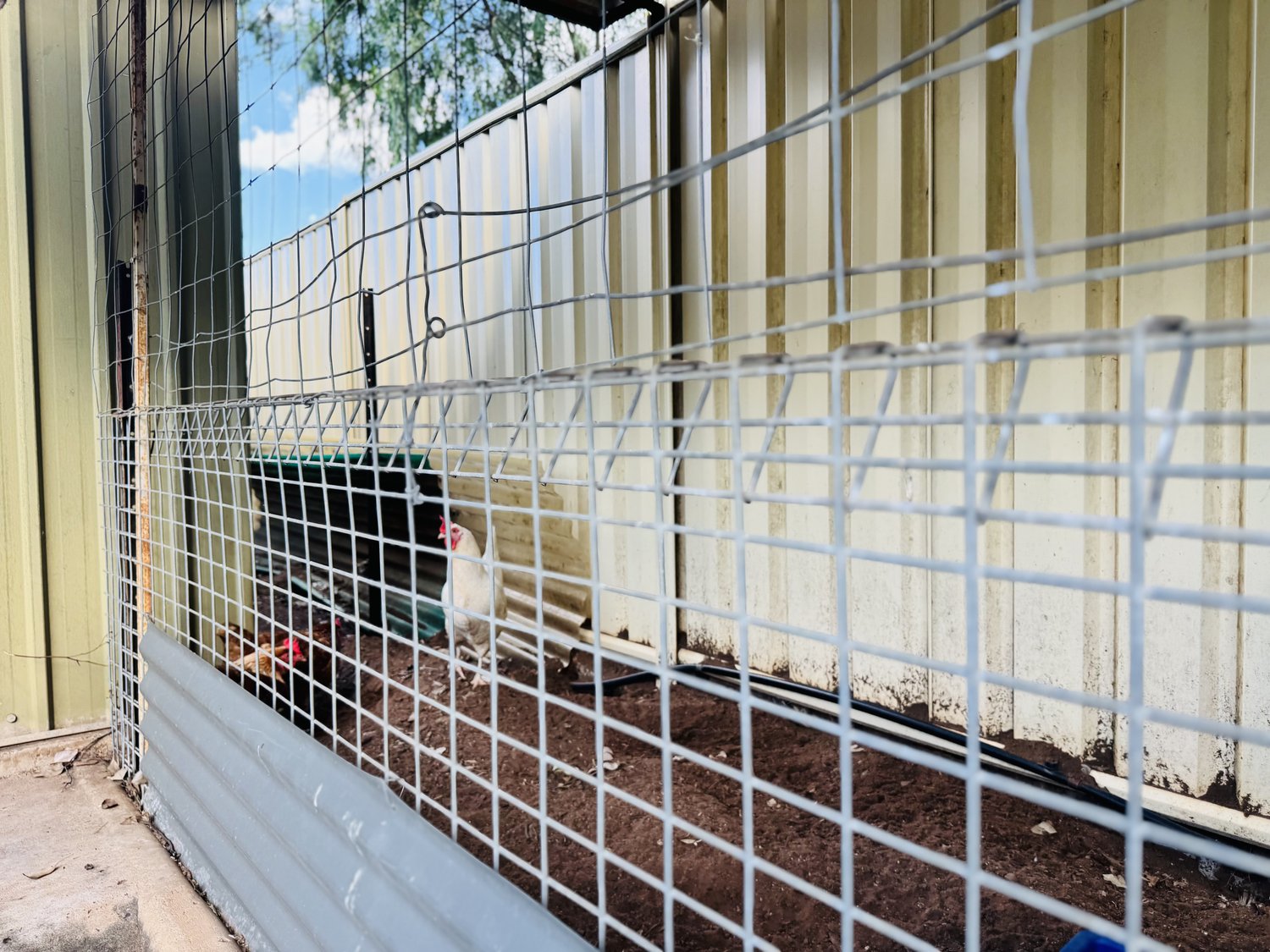 57 CUTHBERT Street, Moranbah Sold by Infinity Property Specialists - image 25