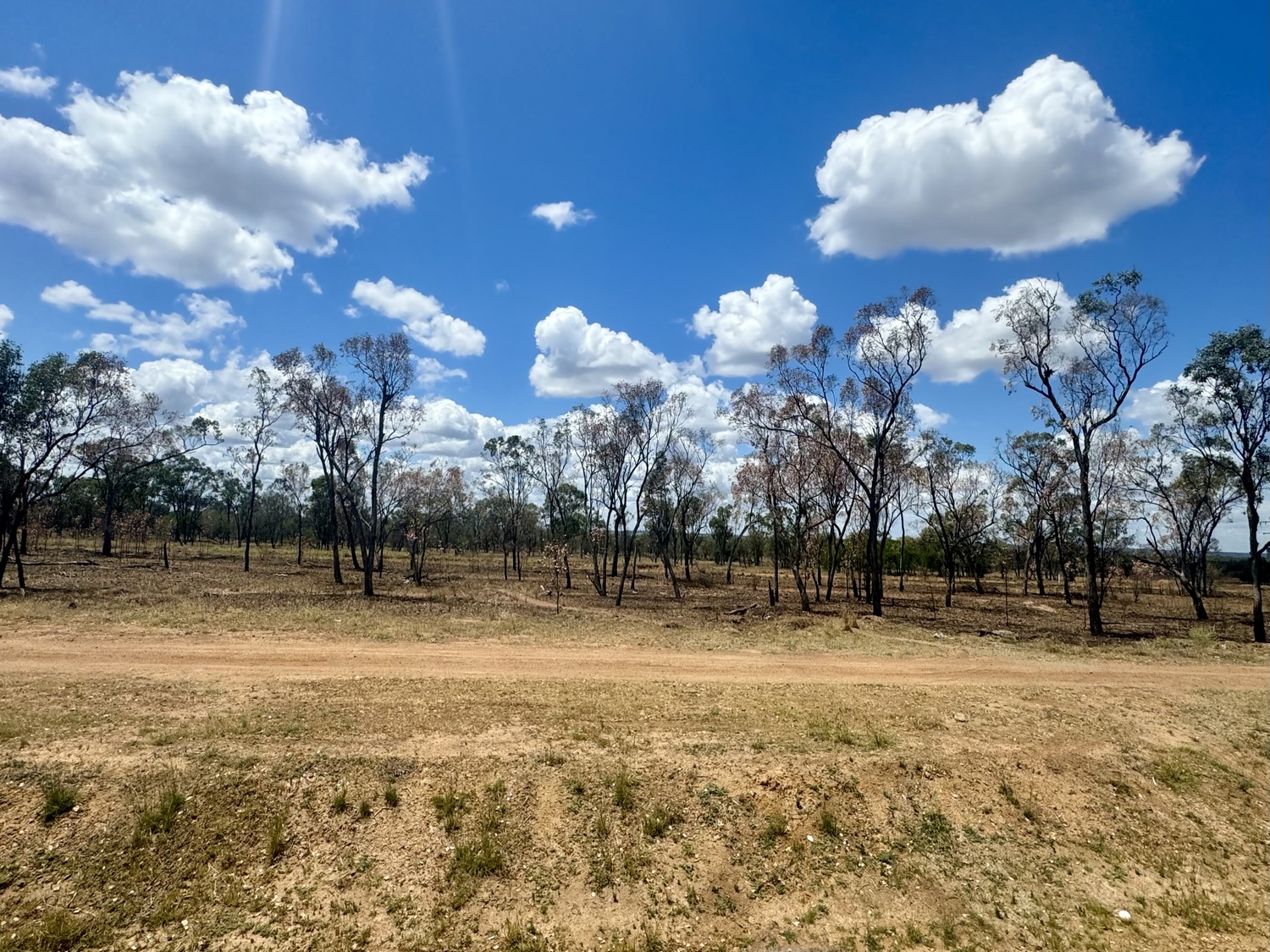 5 BLIGH Court, Moranbah Sold by Infinity Property Specialists - image 6
