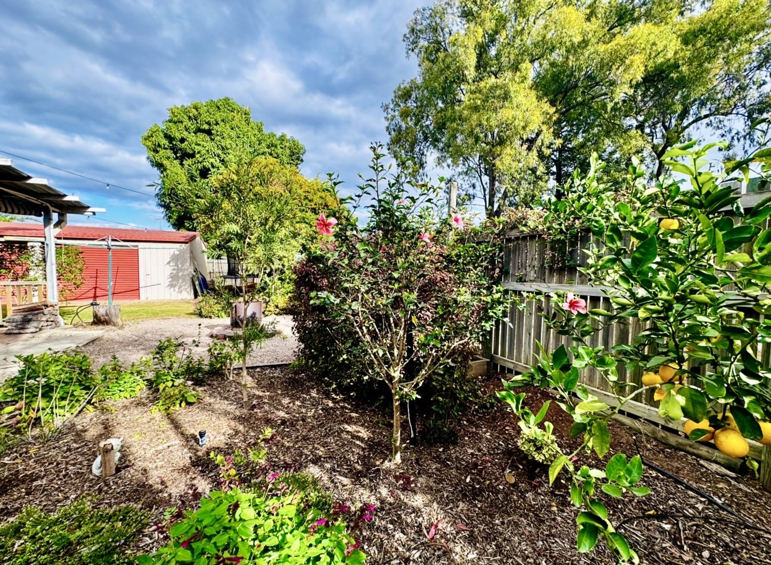 2 GILBERT Court, Moranbah Sold by Infinity Property Specialists - image 29