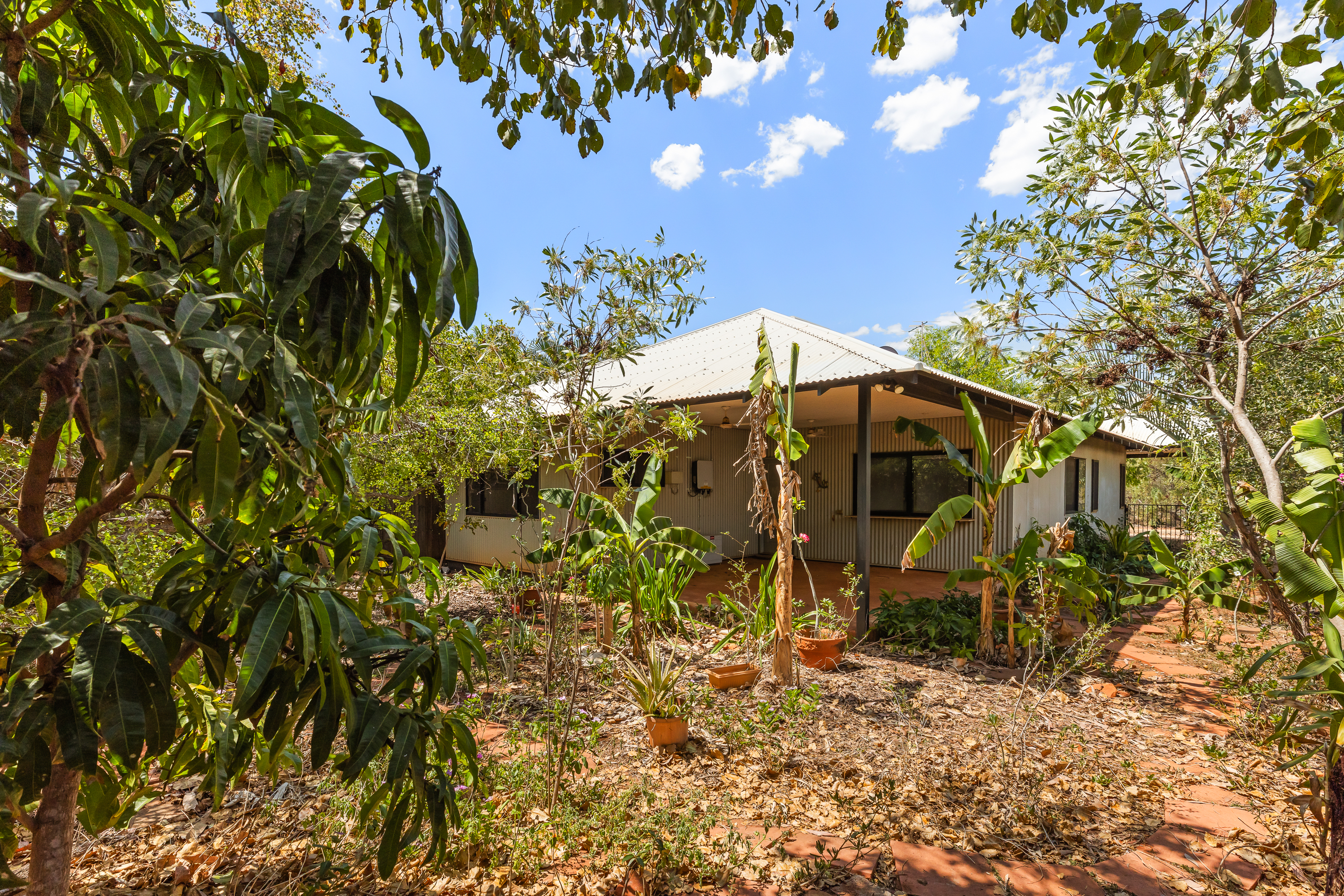 Peaceful Living Surrounded by Nature