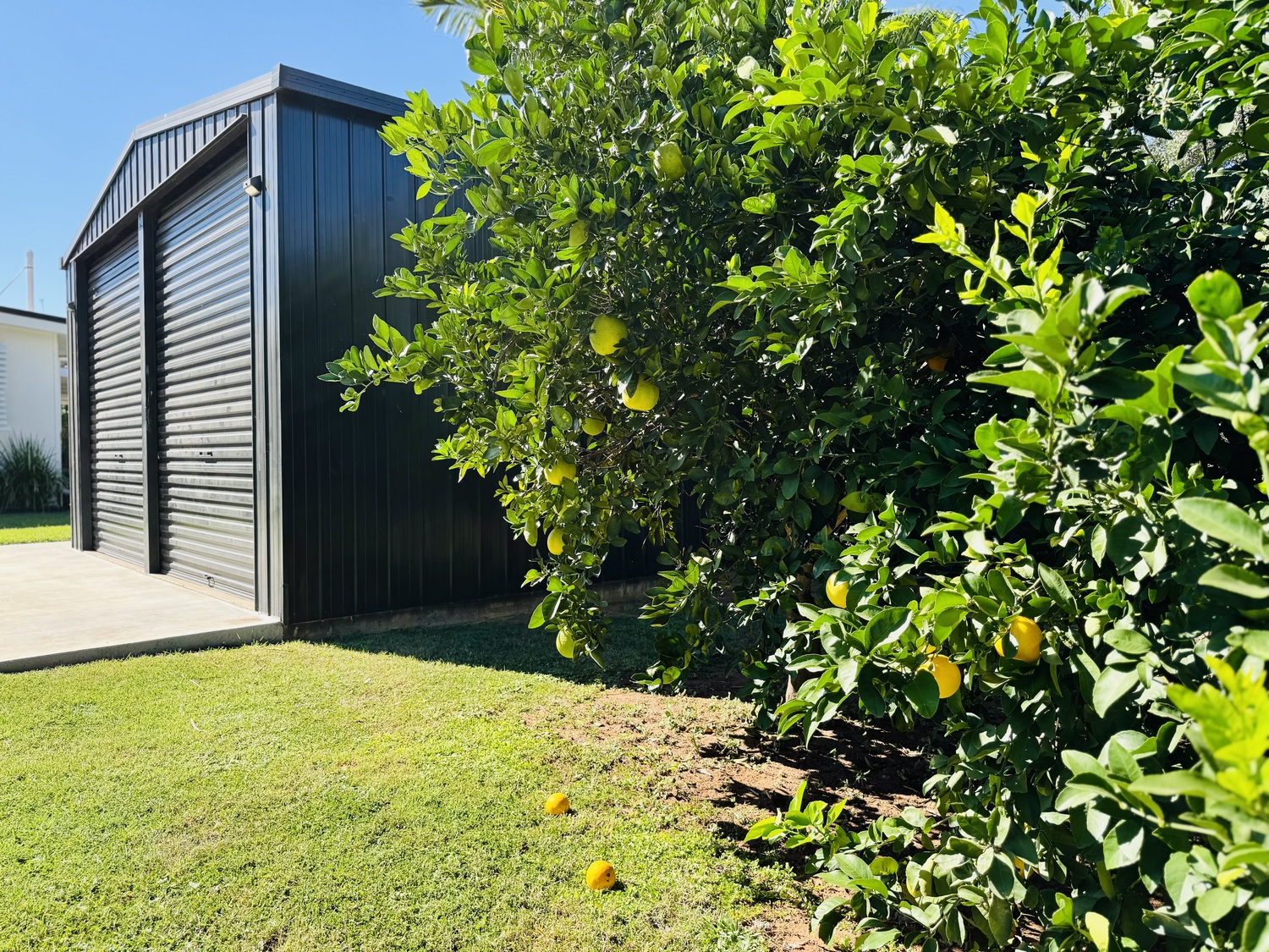 2 RENIER Crescent, Moranbah Sold by Infinity Property Specialists - image 20