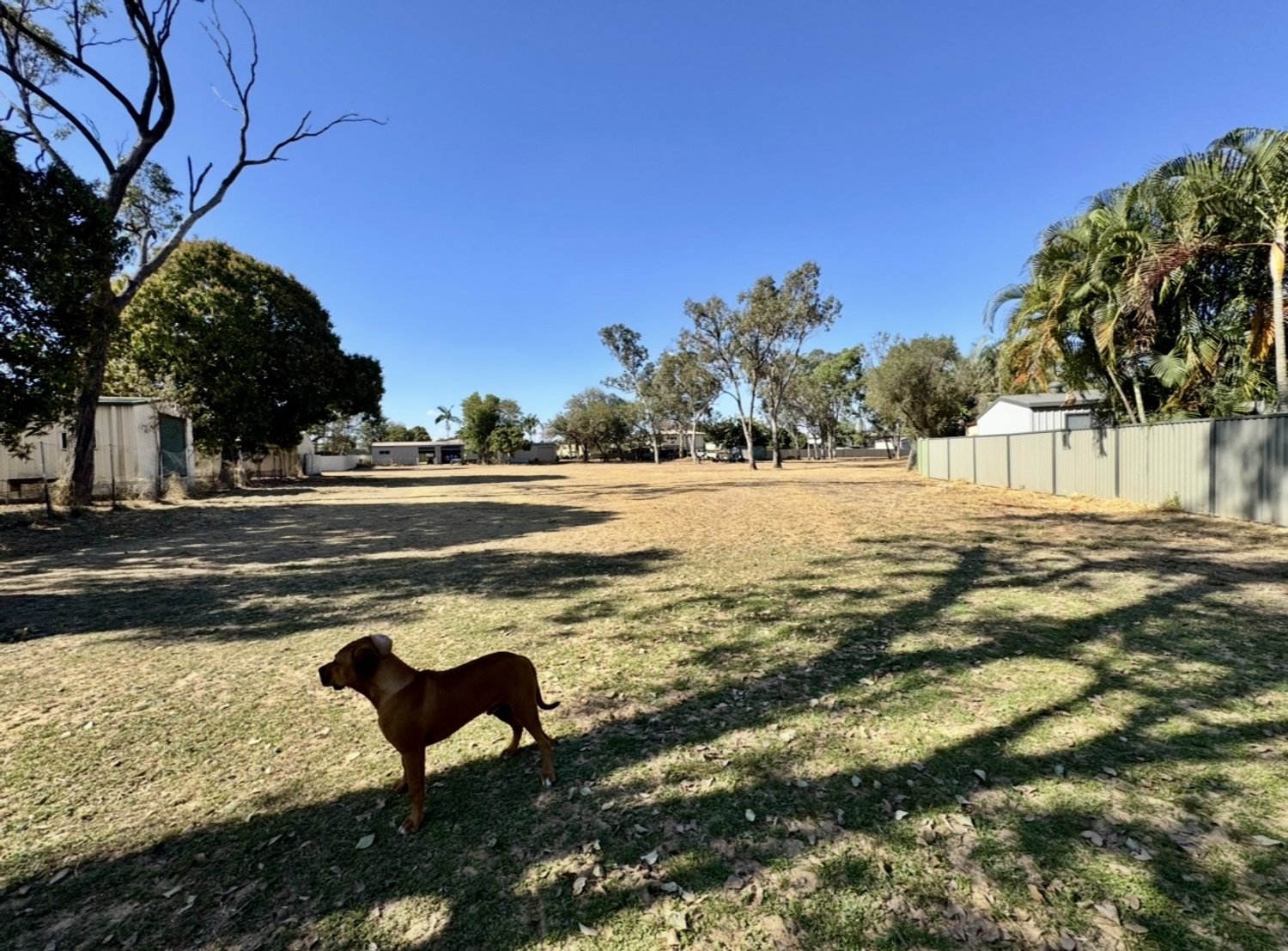 108 MCCOOL Street, Moranbah For Sale by Infinity Property Specialists - image 16