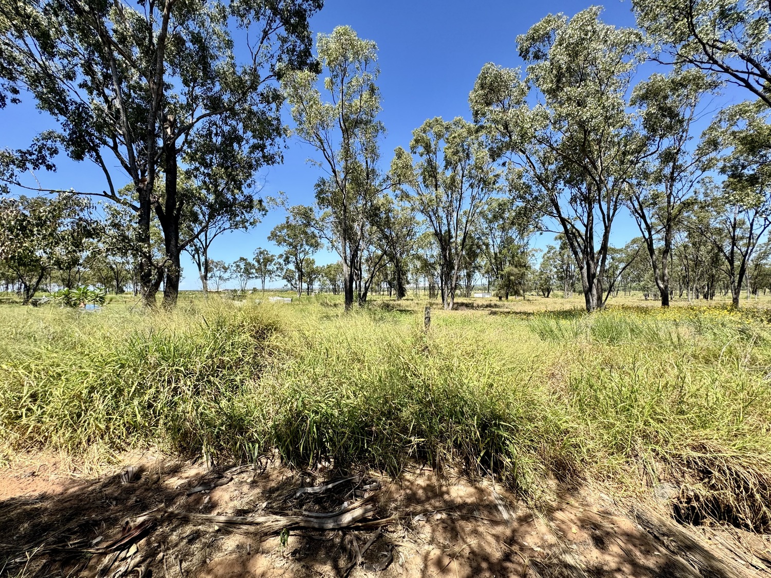 54 JACKSON Avenue, Moranbah Sold by Infinity Property Specialists - image 3