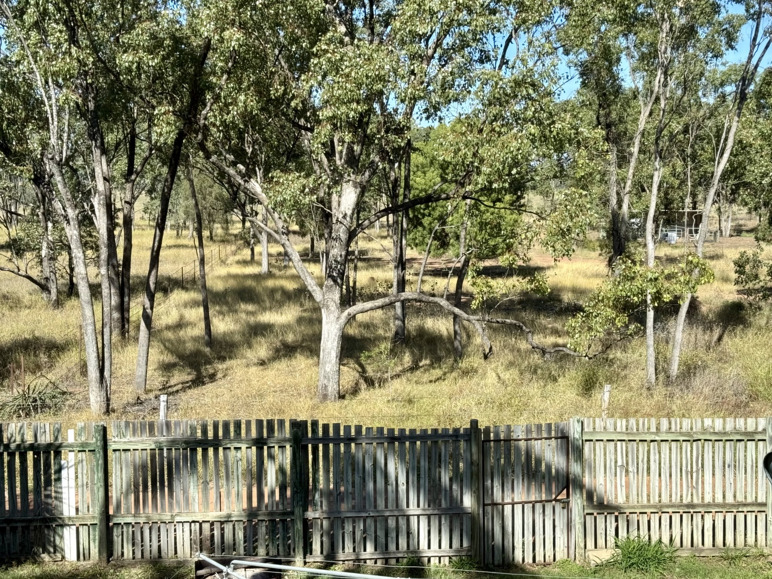 42 JACKSON Avenue, Moranbah Sold by Infinity Property Specialists - image 12