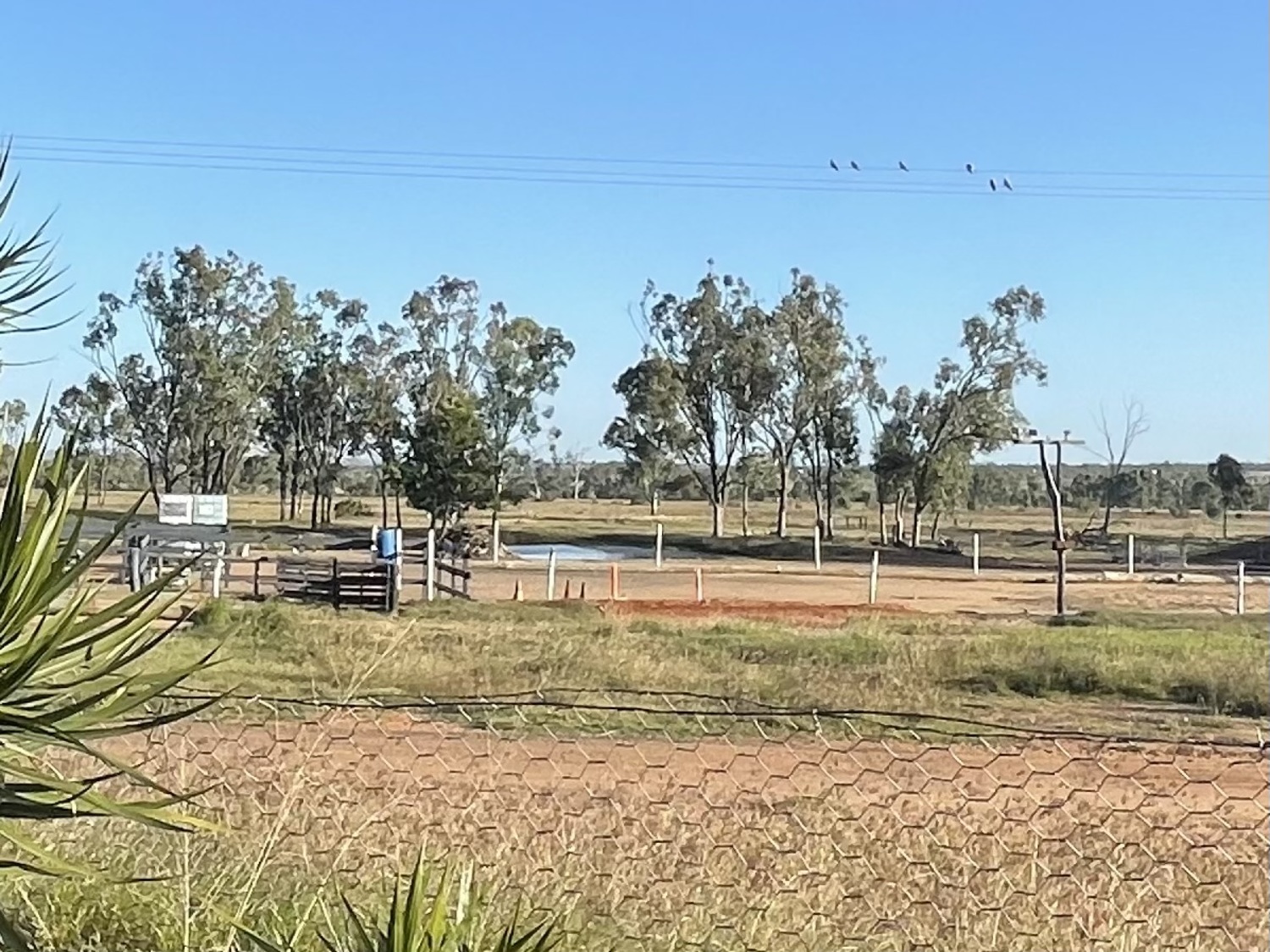 6 JACKSON Avenue, Moranbah Sold by Infinity Property Specialists - image 22