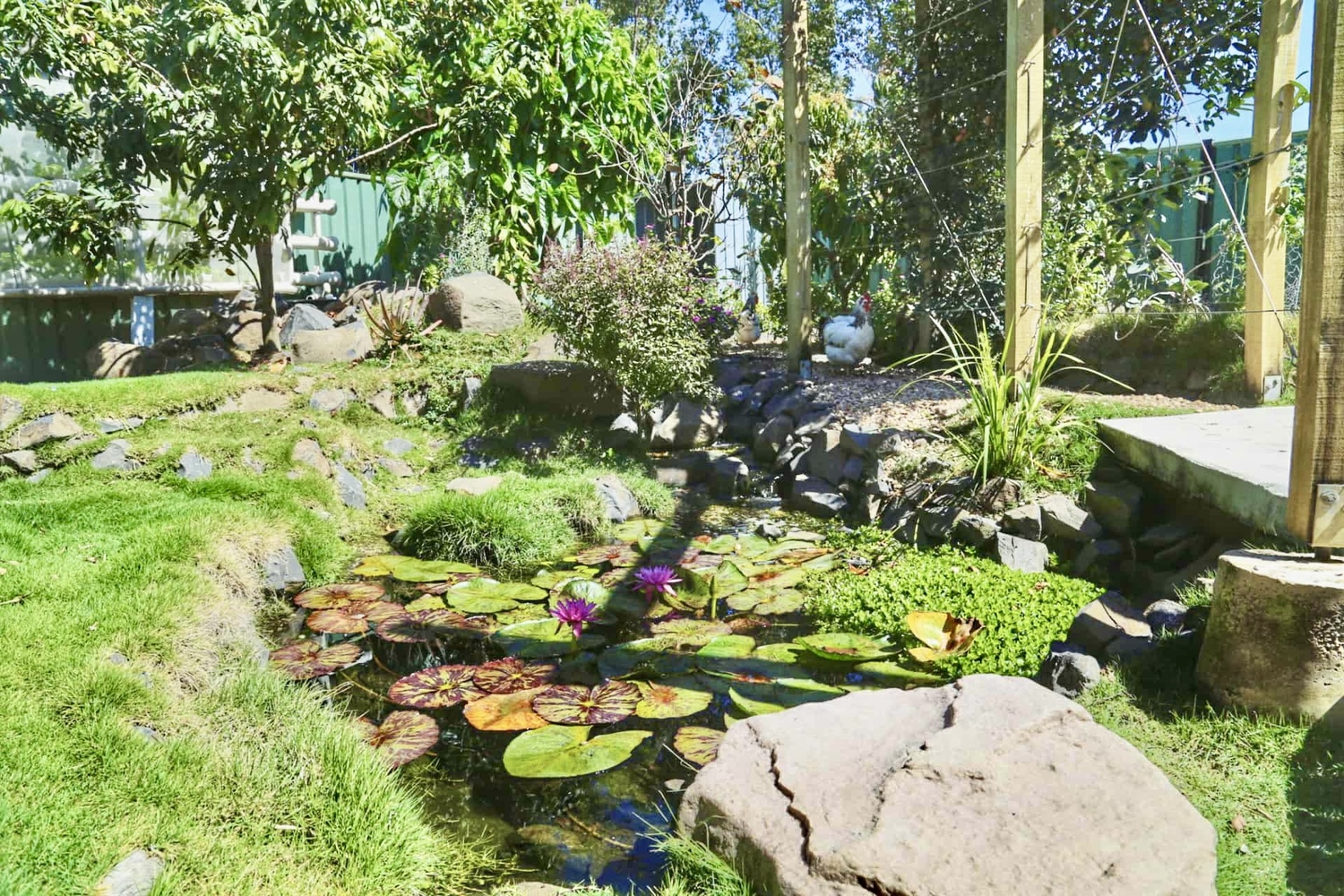 45 UTAH Drive, Moranbah Sold by Infinity Property Specialists - image 6