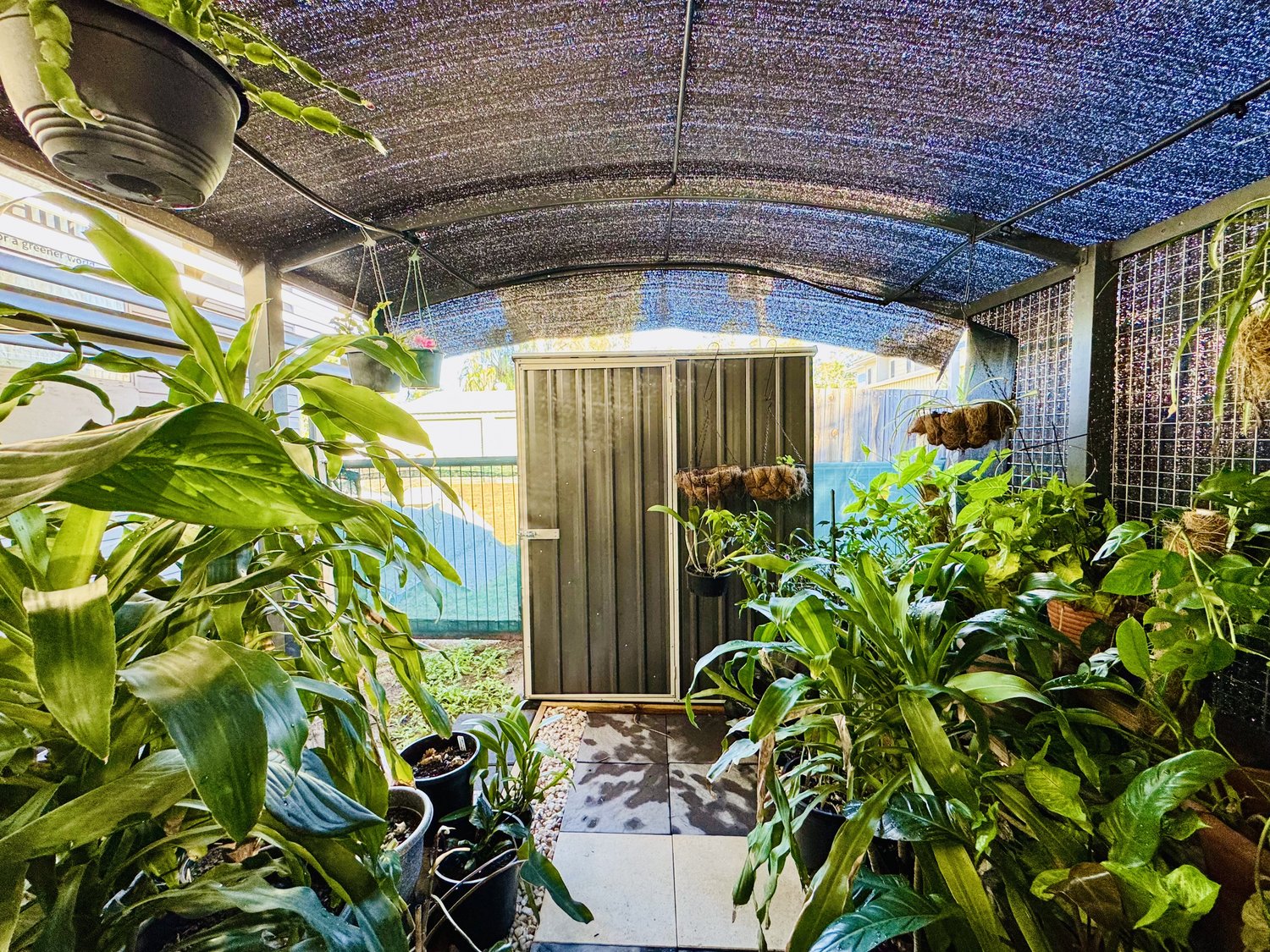 36 FORREST Drive, Moranbah For Lease by Infinity Property Specialists - image 27