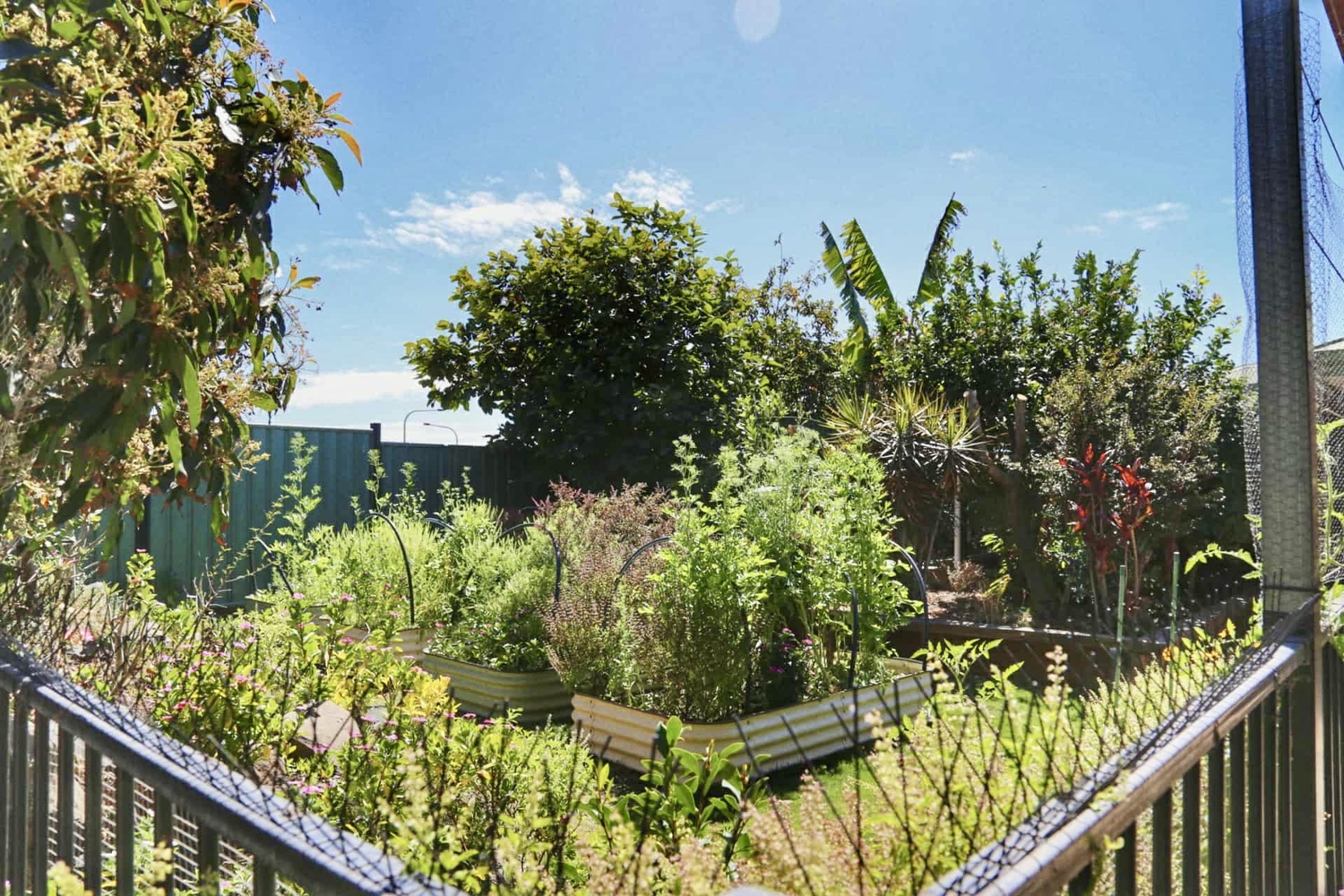45 UTAH Drive, Moranbah Sold by Infinity Property Specialists - image 30