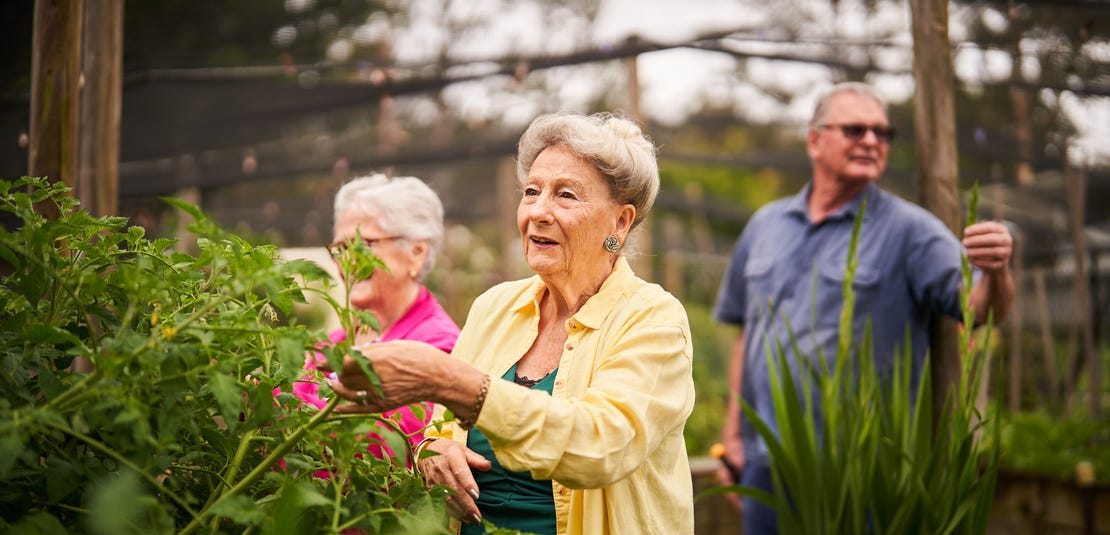 Brentwood Village Retirement Living at 1 Scaysbrook Drive, Kincumber ...