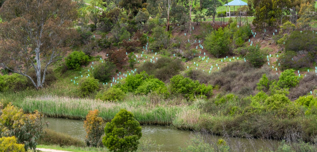 Rivervue 25 Bellavista Drive, Avondale Heights