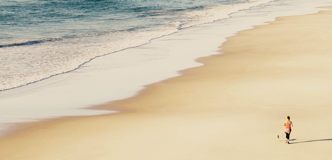 Aureus Land Estate at 3000 The Coast Road, Skennars Head realestate