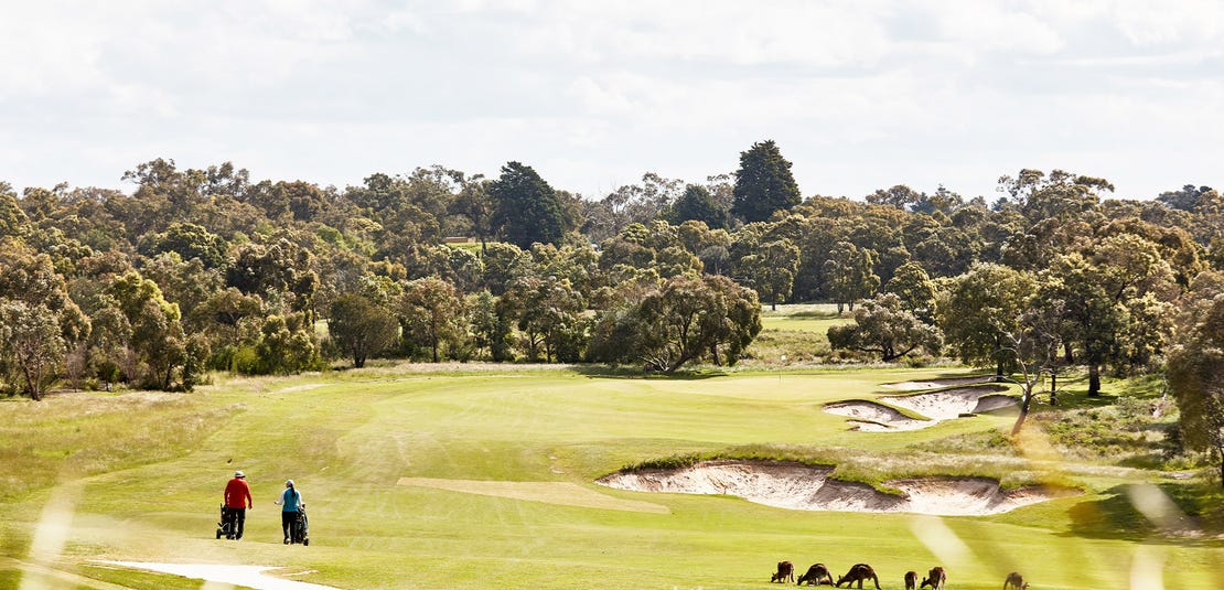 Botanic Ridge Land Estate at 235 Smiths Lane