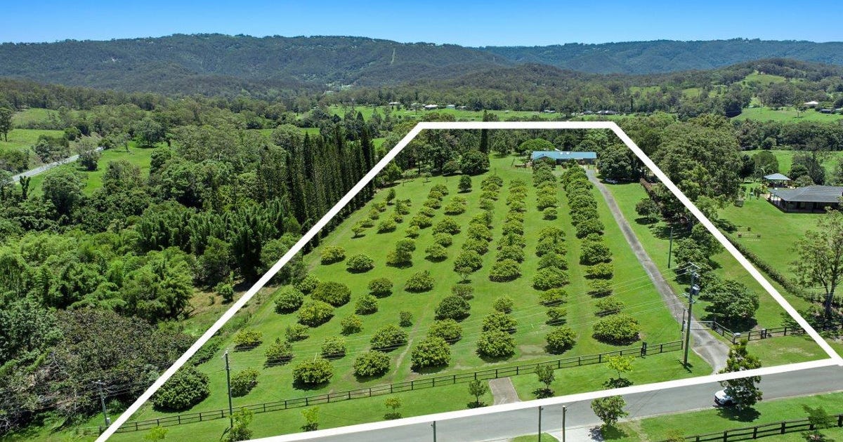 21 Darwalla Road, Mount Nathan QLD 4211