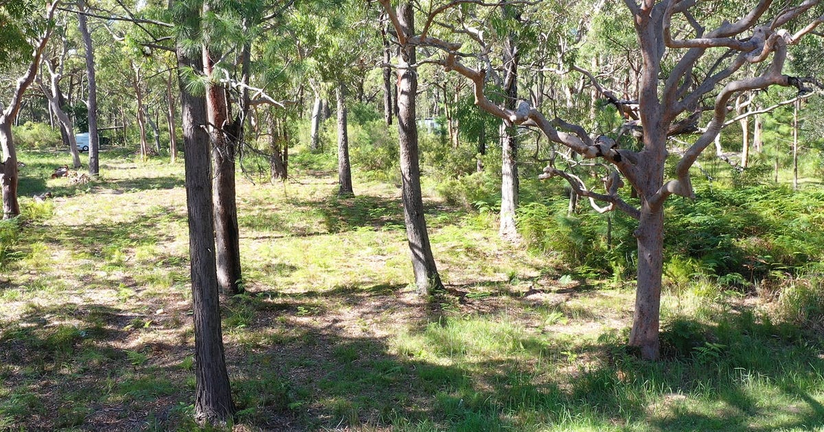 261 Warri Street, Pindimar NSW 2324