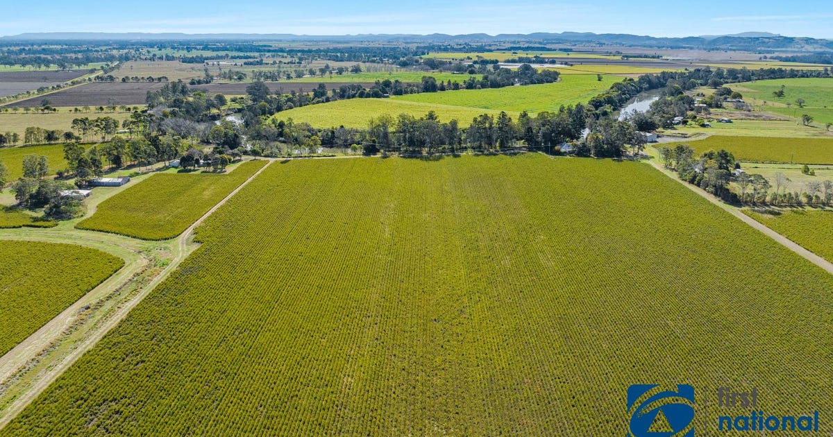 125 Codrington Lane, Codrington NSW 2471 - property.com.au