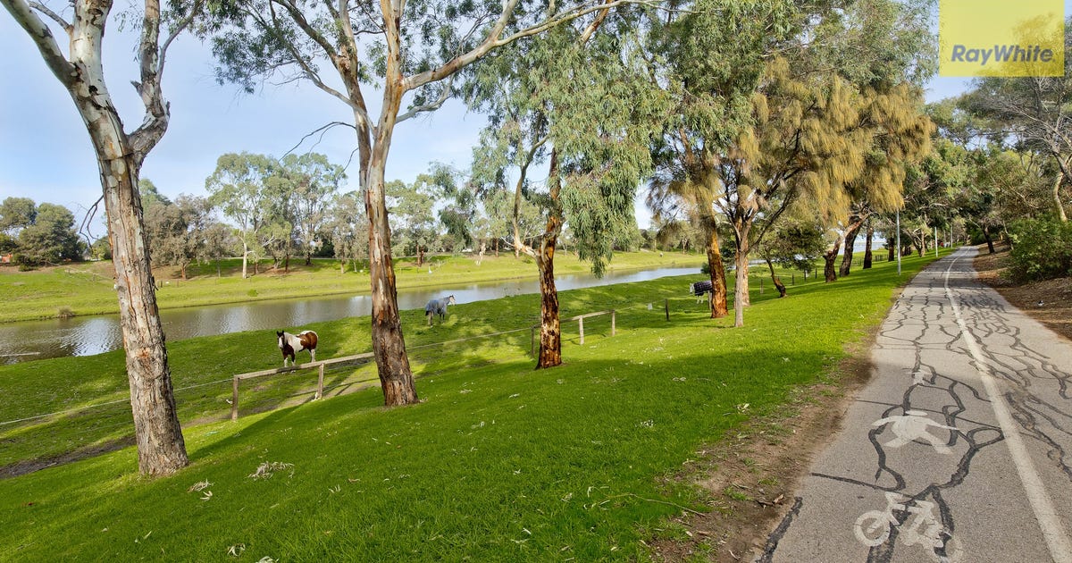 13 Broadmore Avenue, Fulham SA 5024